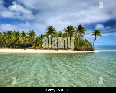 Steht im seichten Wasser der Lagune von Aitutaki auf den Cook-Inseln und blickt auf eine sandige, palmenbedeckte Insel Stockfoto