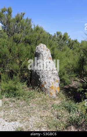 Menhir versteckt zwischen Bäumen in Quiberon, Bretagne Stockfoto