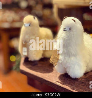 Lamas, Vermont Country Store, Rockingham, Windham County, Vermont, Usa Stockfoto