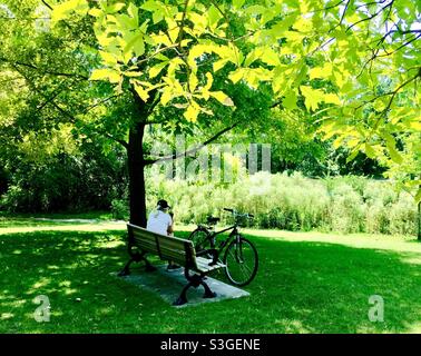 Eine Radfahrerin überprüft ihr Telefon auf einer Bank unter einem grünen Baum in einem schönen Park, Ontario, Kanada. Konzepte: Pause, Tempowechsel, Natur, Kommuning, shinrin-yoku, Entspannend Stockfoto