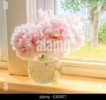 Bouquet von rosa Pfingstrosen auf einer Fensterbank. Stockfoto