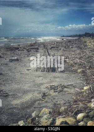 Strand mit Treibholz bedeckt, Hokitika, Südinsel, Neuseeland Stockfoto