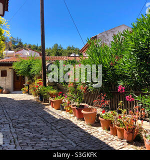 Eine Dorfstraße in Lania (Laneia) im Troodos-Gebirge auf Zypern, gesäumt von Blumentöpfen. Stockfoto