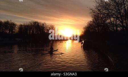 Sculler in der Morgendämmerung auf dem Fluss Lea Stockfoto