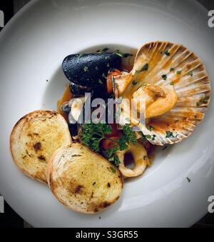 Italienische Meeresfrüchte-Eintopf mit frischen Jakobsmuscheln, Muscheln, Calamari, Muscheln und Fisch in Venedig, Italien Stockfoto