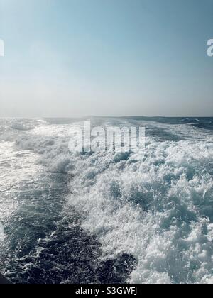 Die Sternwelle eines Schiffes auf der Adria Stockfoto