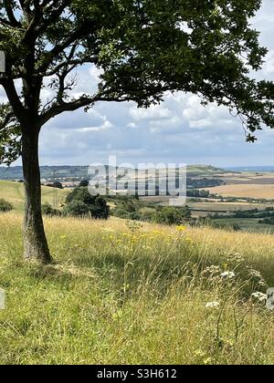 Ivinghoe Beacon in den Chiltern Hills, von Dunstable Downs aus gesehen Stockfoto