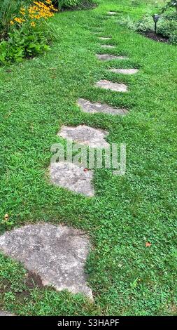 Trittsteine schlängeln sich durch die üppige, sommergrüne Wiese. Stockfoto
