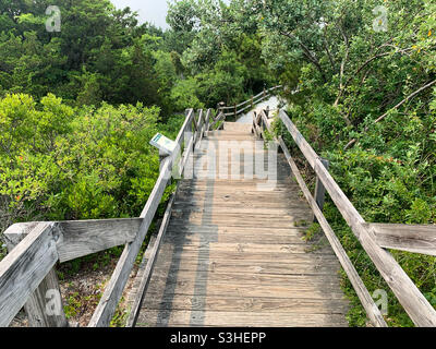 Juli 2021, Barnegat Lighthouse State Park, Long Beach Island, Ocean County, New Jersey, Usa Stockfoto