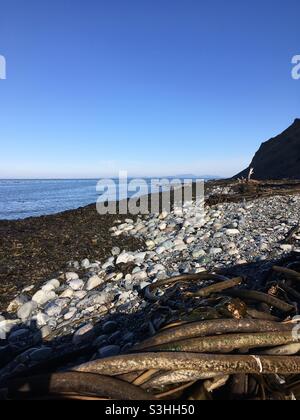 Fort Ebey State Park, Washington Stockfoto