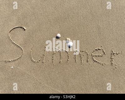 Schreiben am Strand in nassem Sand: Im Sommer gibt es ein paar Muscheln um ihn herum Stockfoto