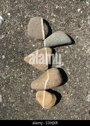 Graue Kieselsteine mit weißem Streifen sind so dicht beieinander, dass die Streifen eine durchgehende Linie bilden Stockfoto