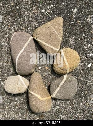 Graue Kieselsteine mit weißen Streifen sind so dicht beieinander, dass die Streifen in einem Kreis eine durchgehende Linie bilden Stockfoto