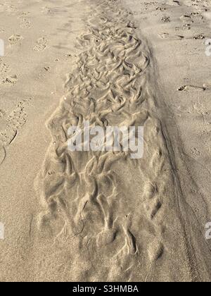 Muster, die durch Wind und Wellen im Sand am Strand entstehen Stockfoto