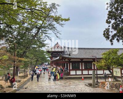 Menschen, die mit Regenschirmen und Hirsch unter ihnen in der Nähe des Tores zum Todaiji-Tempel im Nara Park, Japan, spazieren. Stockfoto