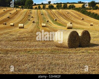 Strohballen auf einem Feld Stockfoto
