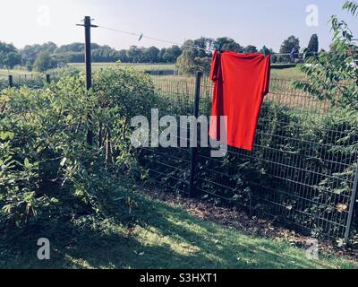 Ein knallrotes T-Shirt hängt an einer Wäscheleine in einem dumpfen Grün und überstrahlt mit seiner Farbe alles Stockfoto