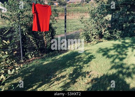 Ein knallrotes T-Shirt hängt an einer Wäscheleine in einem dumpfen Grün und überstrahlt mit seiner Farbe alles Stockfoto