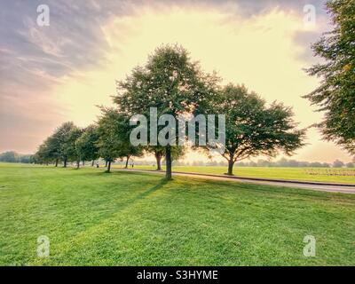 Clifton Downs am frühen Abend Anfang September, Bristol, Großbritannien Stockfoto