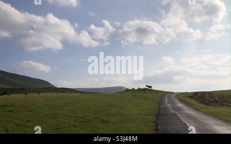 Silhouette eines Bergponys auf dem Gospel Pass in den Back Mountains, Wales. Stockfoto