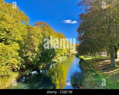 Herbstfarben entlang des Flusses Avon, Christchurch, Neuseeland Stockfoto