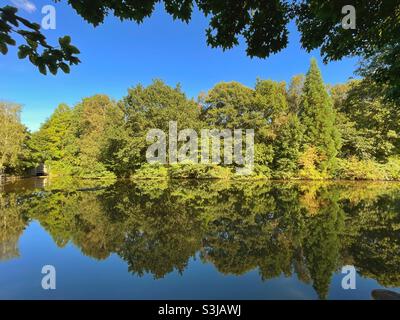 Landschaftlich schöne Aussicht auf Bäume, die sich in der spiegelgleichen Oberfläche eines Sees spiegeln Stockfoto