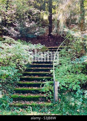 Überwuchert Treppe in einem Park Stockfoto