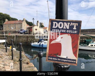 Warnschild der Möwen – füttert die Möwen nicht! Dysart Harbour, Fife Stockfoto