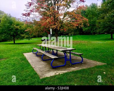 Picknickplatz Nr. 1 in voller Herbstpracht in einem schönen Park, Ontario, Kanada. Im Freien, Sylvan Einstellung, Bäume, Grün. Stockfoto