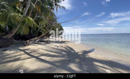 Cahuita Nationalpark, Costa Rica, Karibisches Meer Stockfoto