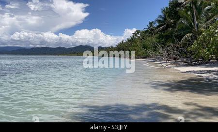 Strand in Costa Rica Stockfoto