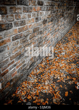 Herbstblätter auf dem Boden durch eine Ziegelwand Stockfoto