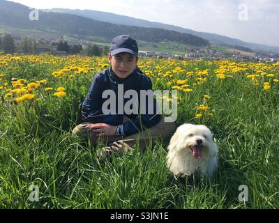 Kleiner Junge mit Basketballmütze, blauer Jacke und brauner Hose mit weißem Hund, der auf der Frühlingswiese mit grünem Gras und gelben Blumen sitzt. Im Hintergrund sind Berge und Hügel mit einigen Gebäuden Stockfoto