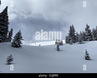 Friedliche, winterliche Hügellandschaft mit frischem Schnee von einem Frühlingssturm in den Rocky Mountains, Vail, Colorado, USA Stockfoto