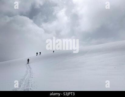 Eine Gruppe von abenteuerlustigen Menschen Schneeschuhwandern auf einem Berg mit frischem Frühlingsschnee in den Rocky Mountains, Vail, Colorado, USA Stockfoto