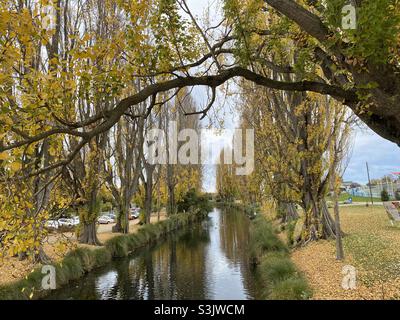 Herbst entlang des Flusses Avon, Christchurch, Neuseeland Stockfoto