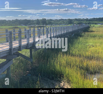 Silver Sands State Park, Milford, New Haven County, Connecticut, Usa Stockfoto