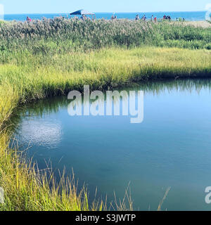 Silver Sands State Park, Milford, New Haven County, Connecticut, Usa Stockfoto