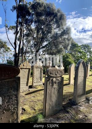 Graves on the Isle of the Dead, Port Arthur Stockfoto