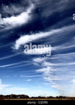 Cirrus-Wolken Reihen sich an einem sonnigen Herbstnachmittag in einem tiefblauen Himmel über dem Bosque del Apache National Wildlife Refuge in der Nähe von Socorro, New Mexico, aneinander. Stockfoto