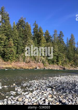 Nature Trail River im Jedediah Smith Redwoods State Park Crescent City California Stockfoto