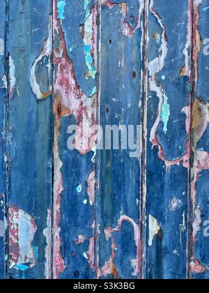 Die abblätternde blaue Farbe an einer alten Holztür zeigt ältere Farbschichten darunter. Stockfoto