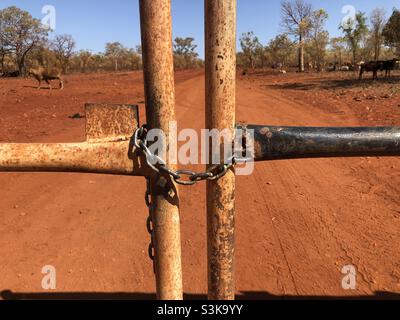 Eine Kette, die um zwei Tore im Outback verriegelt wurde Stockfoto