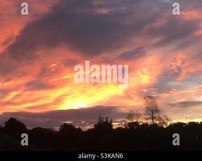 Sonnenaufgang, golden, Feuer, Flamme, Ehrfurcht, Himmel, Land, Natur, dramatisch, Bäume Stockfoto