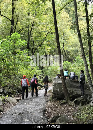 Menschen wandern auf einem Wanderweg im Amicalola Falls State Park in Nord-Georgien. Stockfoto