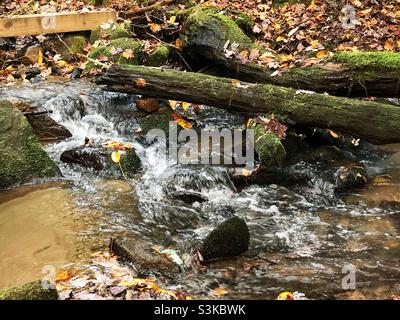 Fließender Bach mit einem kleinen Wasserfall im Black Rock Mountain State Park in North Georgia USA. Herbstsaison. Stockfoto