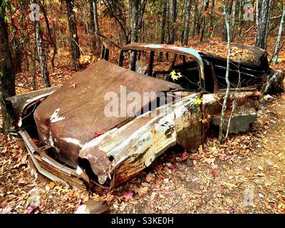 Ein verlassene und sehr rostige alte Wagen im Wald. Stockfoto