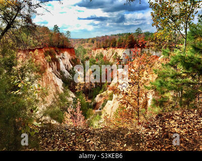 Providence Canyon State Park, auch bekannt als Little Grand Canyon in Lumpkin Georgia. Es ist eines der sieben Naturwunder Georgiens. Stockfoto