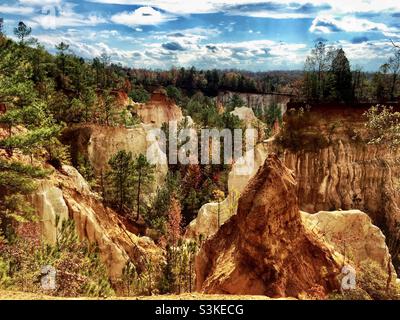 Providence Canyon State Park, auch bekannt als Little Grand Canyon in Lumpkin Georgia. Es ist eines der sieben Naturwunder in Georgien. Stockfoto