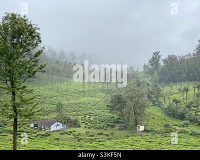 Ein Haus zwischen den Teestädten der Nilgiris in Kotagiri, das in Tamil Nadu in der Nähe von Ooty liegt, ist von indien. Stockfoto